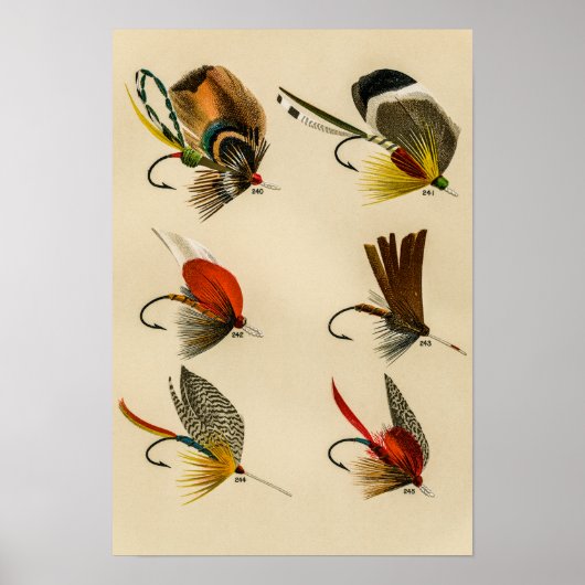 Bass Flies 240-245  Poster (Voorkant)