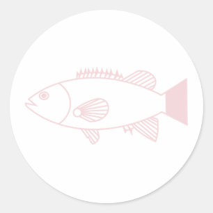 Bass Groper Fish in pastelroze op wit Ronde Sticker