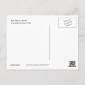 Bass Harbour Marsh Briefkaart (Achterkant)