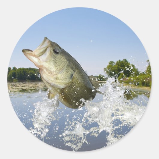 Bass Jump 2013 Ronde Sticker (Voorkant)