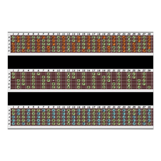 Bass Notes Poster papier (halfglans) Perfect Poster (Voorkant)