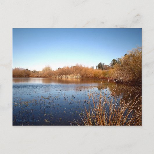 Bass Pond One Briefkaart (Voorkant)