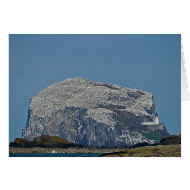 Bass Rock (Voorkant Horizontaal)
