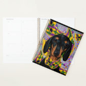 Basset allemand (Devant avec enveloppe)