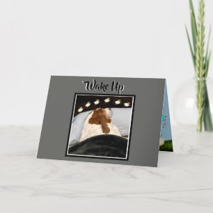 Basset "Compter Les Moutons" Sur La Carte D'Annive