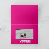 Basset dans la neige sur la drôle de carte de Sain (Intérieur)