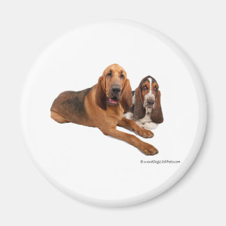 Basset en Bloodhound Buddies Magneet