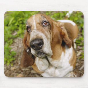 Basset Hond 2 Muismat