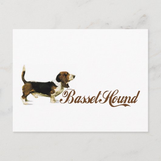 basset hond briefkaart (Voorkant)