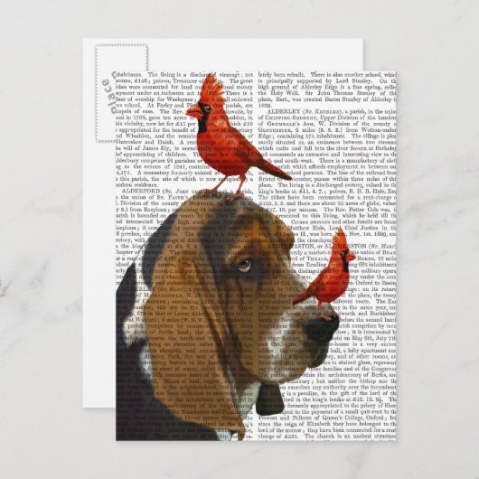 Basset Hond en vogels Briefkaart (Voorkant / Achterkant)