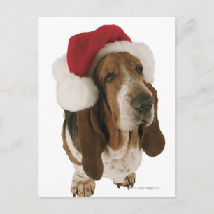 Basset hond in het pet van de Kerstman Feestdagenkaart
