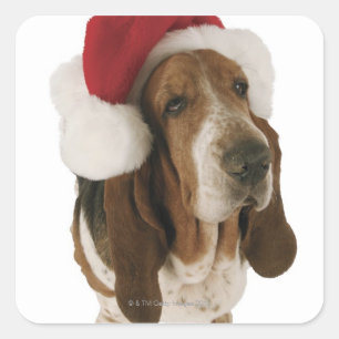 Basset hond in Santa hat Vierkante Sticker
