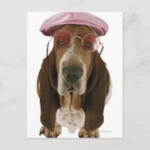 Basset hond in zonnebrillen en pet briefkaart (Voorkant)
