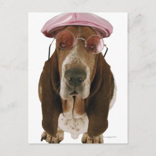 Basset hond in zonnebrillen en pet briefkaart