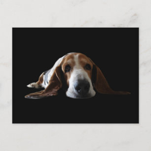 Basset Hond ligt beneden Briefkaart