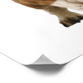 Basset hond met bunny-oren poster (Hoek)