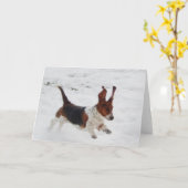 "Basset Honden in de Wilde" kaarten van de (Gele Bloem)