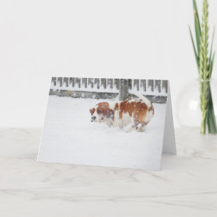 "Basset Honden in de Wilde" reekswenskaarten Kaart