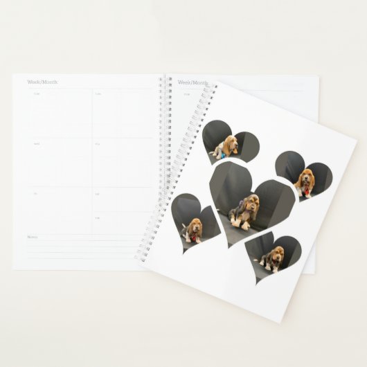 Basset hondpuppy organizer (Display)