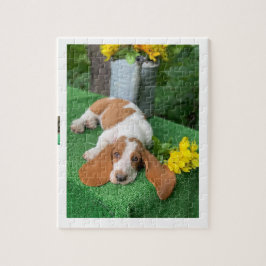 Basset hondpuppy puzzel
