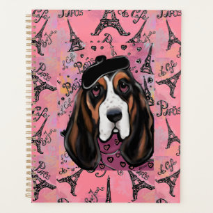 Basset Hound