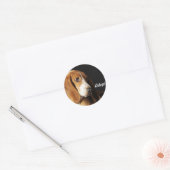 Basset hound autocollant (Enveloppe)