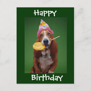 Basset Hound Birthday Lollipop Briefkaart