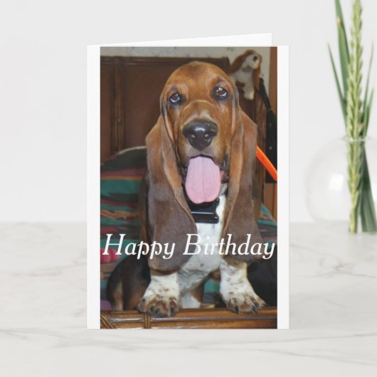 Basset hound Bonne carte d'anniversaire (Devant)