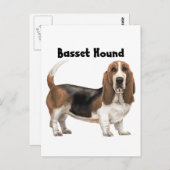 Basset Hound Briefkaart (Voorkant / Achterkant)