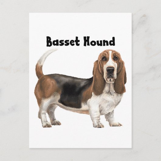 Basset Hound Briefkaart (Voorkant)
