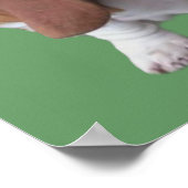 Basset Hound Buddies Print (Hoek)