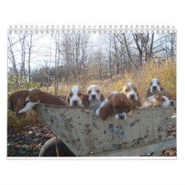 Basset hound Calendar Kalender