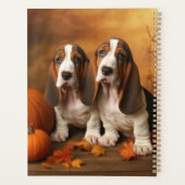 Basset Hound Chiot Automne Citrouille de plaisir (Dos)