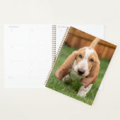 Basset Hound chiot marchant (Devant avec enveloppe)