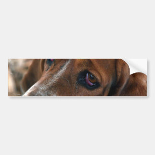 Basset Hound Design-Bumperstickers Bumpersticker