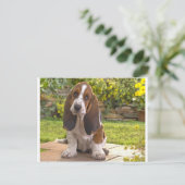 Basset Hound Dog Briefkaart (Staand voorkant)