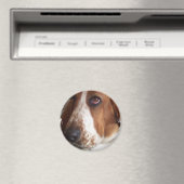Basset Hound Dog Circulaire Magnet (In Situ (Lave-vaisselle))