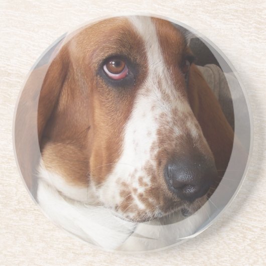 Basset Hound Dog Onderzetters (Voorkant)