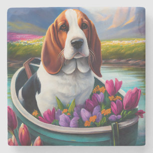 Basset Hound Dog op een peddel: Een Schilderachtig Stenen Onderzetter