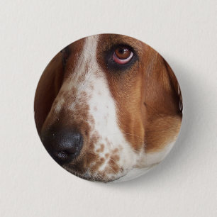 Basset Hound Dog Round Pin Ronde Button 5,7 Cm