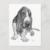 Basset Hound Drawing Briefkaart (Voorkant)