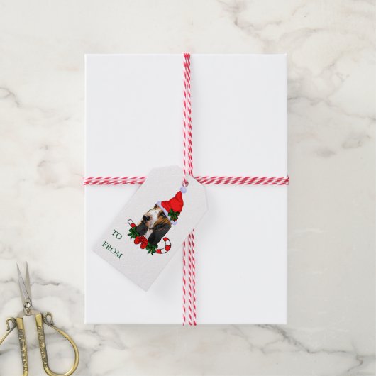 Basset Hound - Étiquettes cadeaux (Avec de la ficelle)