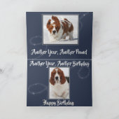 Basset Hound froissé sur la carte d'anniversaire (Intérieur)