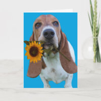 Basset Hound Get Well Kaart