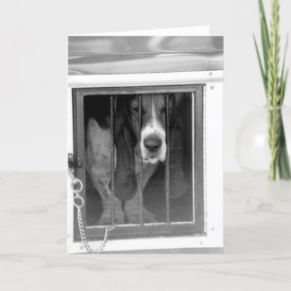 basset hound-gevangenis kaart