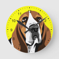 Basset Hound hond