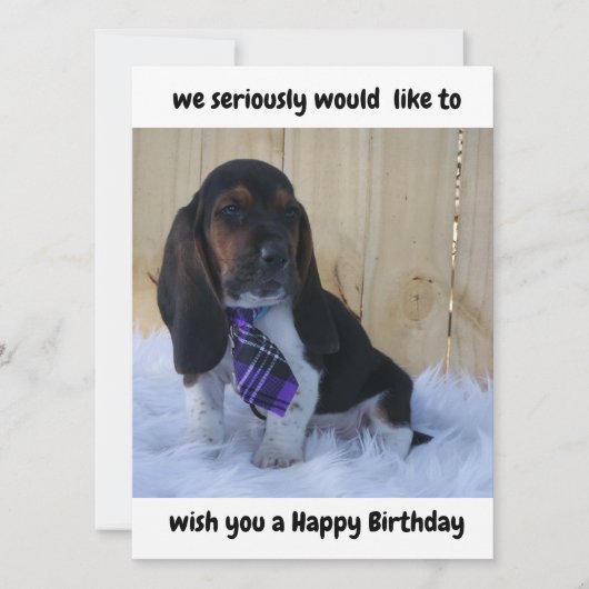 Basset hound joyeuse carte d'anniversaire (Devant)