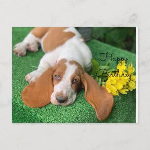 Basset hound joyeux carte postale d'anniversaire