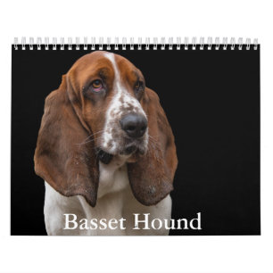 Basset Hound Kalender
