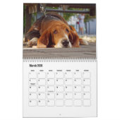 Basset Hound Kalender (Mar 2026)